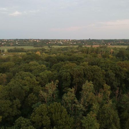 Csiga Apartment Sárvár Exteriér fotografie